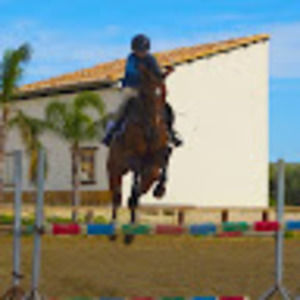 Meet your Posher, Miya